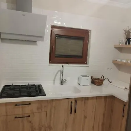 London Villa Muğla